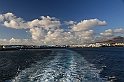 Kanary_2010 385
